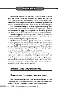 Русский язык для школьников. Орфография и морфология. Синтаксис и пунктуация